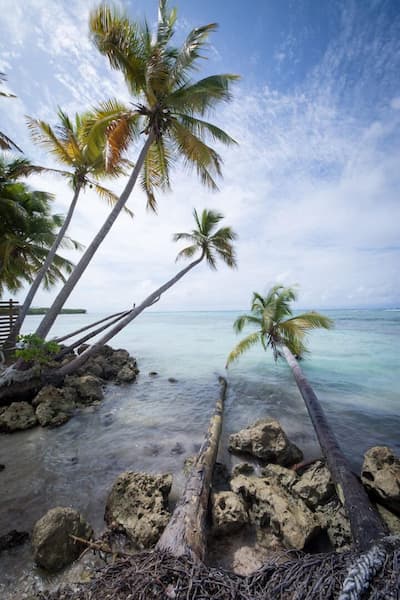 Profitez de l'aire de jeux extérieure à Coco Beach Resort